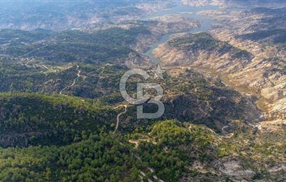 CB MARİNA'DAN İNCEKEMER'DE YATIRIMLIK SATILIK ZEYTİNLİK