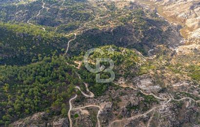 CB MARİNA'DAN İNCEKEMER'DE YATIRIMLIK SATILIK ZEYTİNLİK