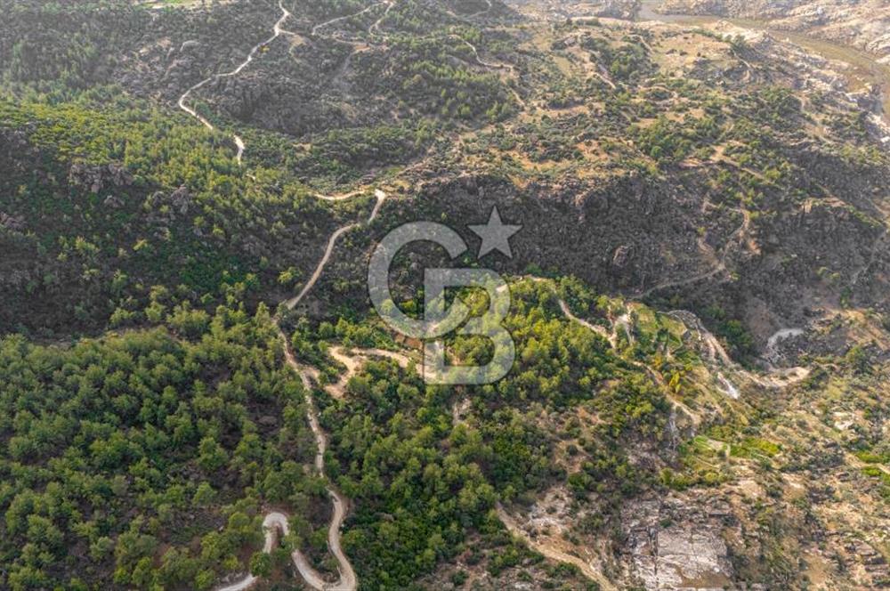 CB MARİNA'DAN İNCEKEMER'DE YATIRIMLIK SATILIK ZEYTİNLİK