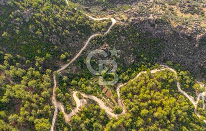 CB MARİNA'DAN İNCEKEMER'DE YATIRIMLIK SATILIK ZEYTİNLİK