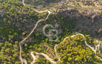 CB MARİNA'DAN İNCEKEMER'DE YATIRIMLIK SATILIK ZEYTİNLİK