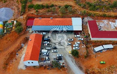 Datça Kargı Deresi Yeni Sanayi'de Satılık Köşe Dükkan Avantajı