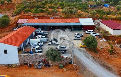 Datça Kargı Deresi Yeni Sanayi'de Satılık Köşe Dükkan Avantajı