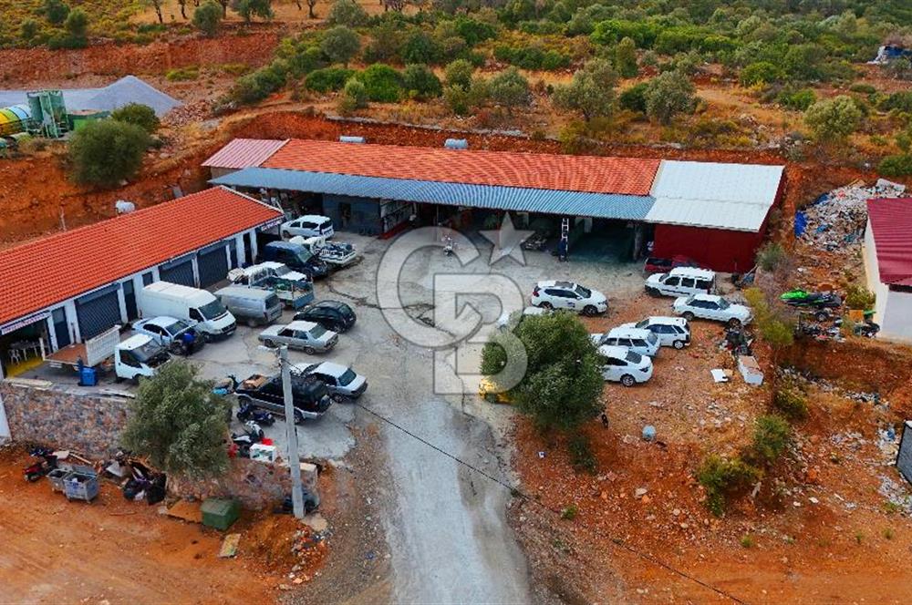 Datça Kargı Deresi Yeni Sanayi'de Satılık Köşe Dükkan Avantajı