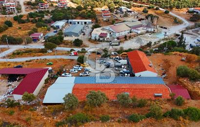 Datça Kargı Deresi Yeni Sanayi'de Satılık Köşe Dükkan Avantajı