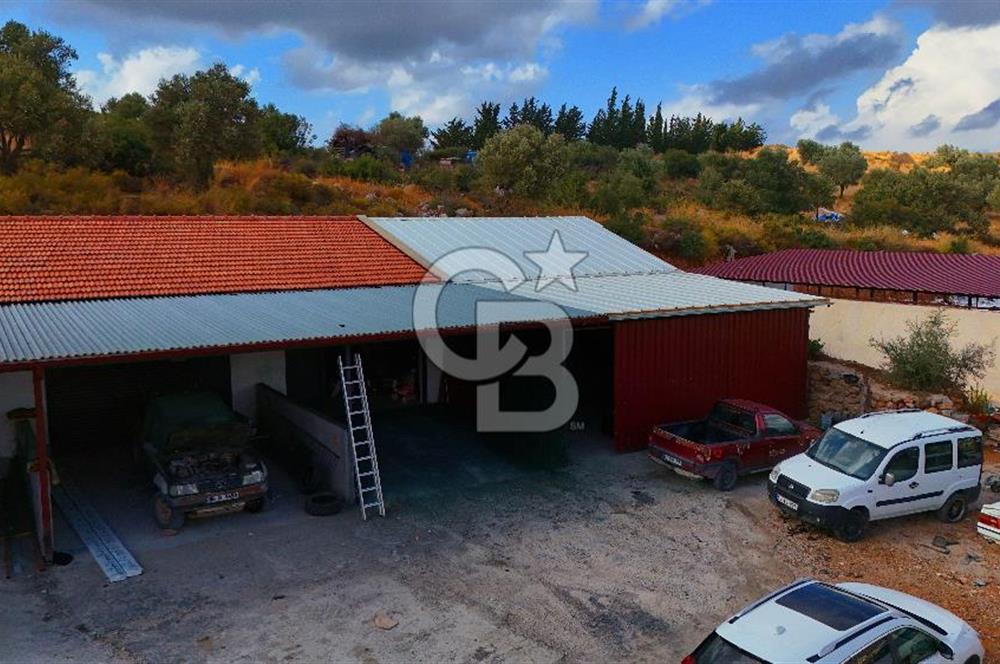 Datça Kargı Deresi Yeni Sanayi'de Satılık Köşe Dükkan Avantajı