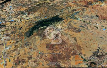 Gölbaşı Karaalide Etrafı Çamlarla çevrili 5668 m2 Satılık Tarla