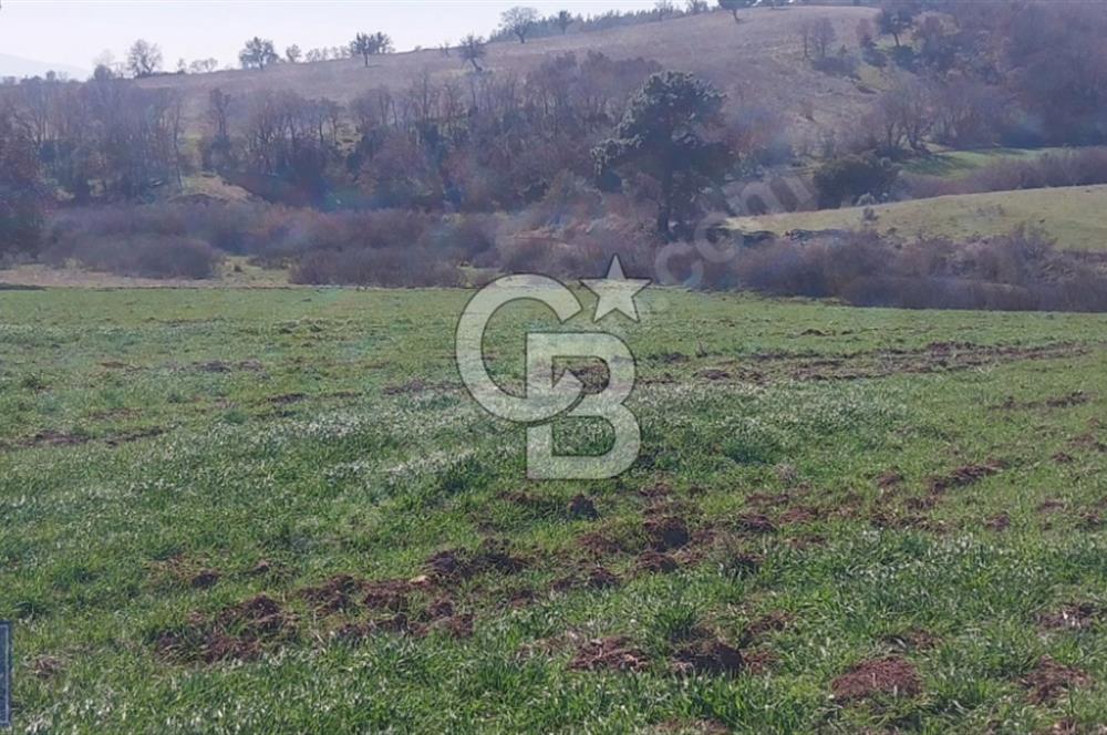 BAYRAMİÇ/YUKARIŞEVİK "300M2.İMARINDA" "14.200M2"SÜPER ARAZİ...