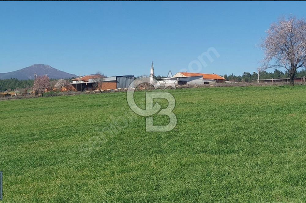 BAYRAMİÇ/YUKARIŞEVİK "300M2.İMARINDA" "14.200M2"SÜPER ARAZİ...
