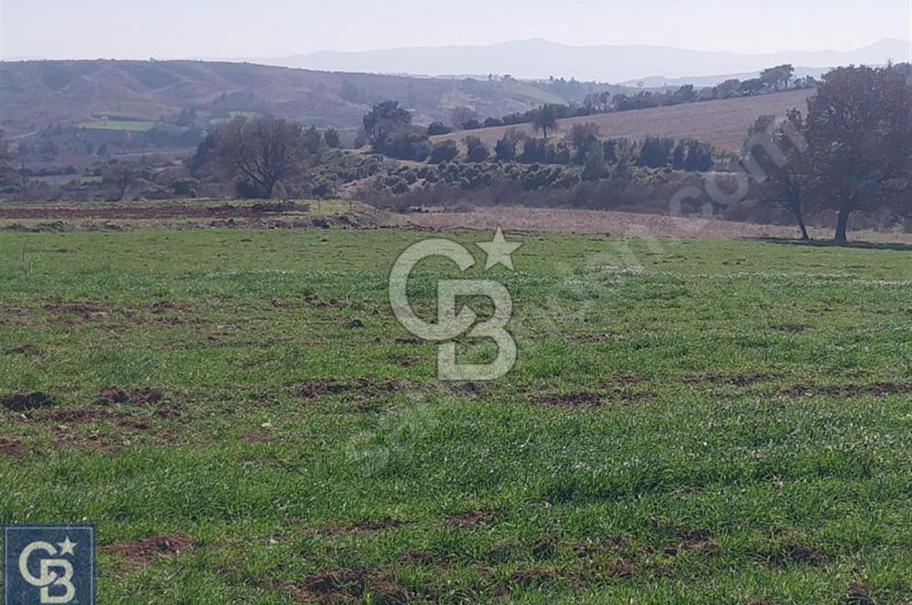 BAYRAMİÇ/YUKARIŞEVİK "300M2.İMARINDA" "14.200M2"SÜPER ARAZİ...