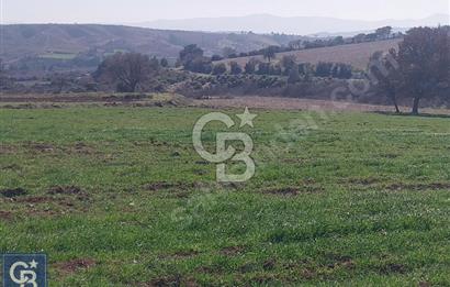 BAYRAMİÇ/YUKARIŞEVİK "300M2.İMARINDA" "14.200M2"SÜPER ARAZİ...