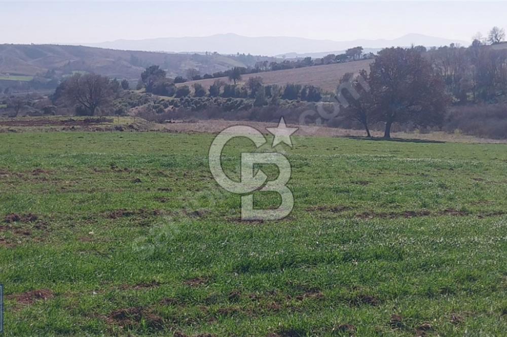 BAYRAMİÇ/YUKARIŞEVİK "300M2.İMARINDA" "14.200M2"SÜPER ARAZİ...