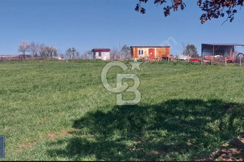 BAYRAMİÇ/YUKARIŞEVİK "300M2.İMARINDA" "14.200M2"SÜPER ARAZİ...