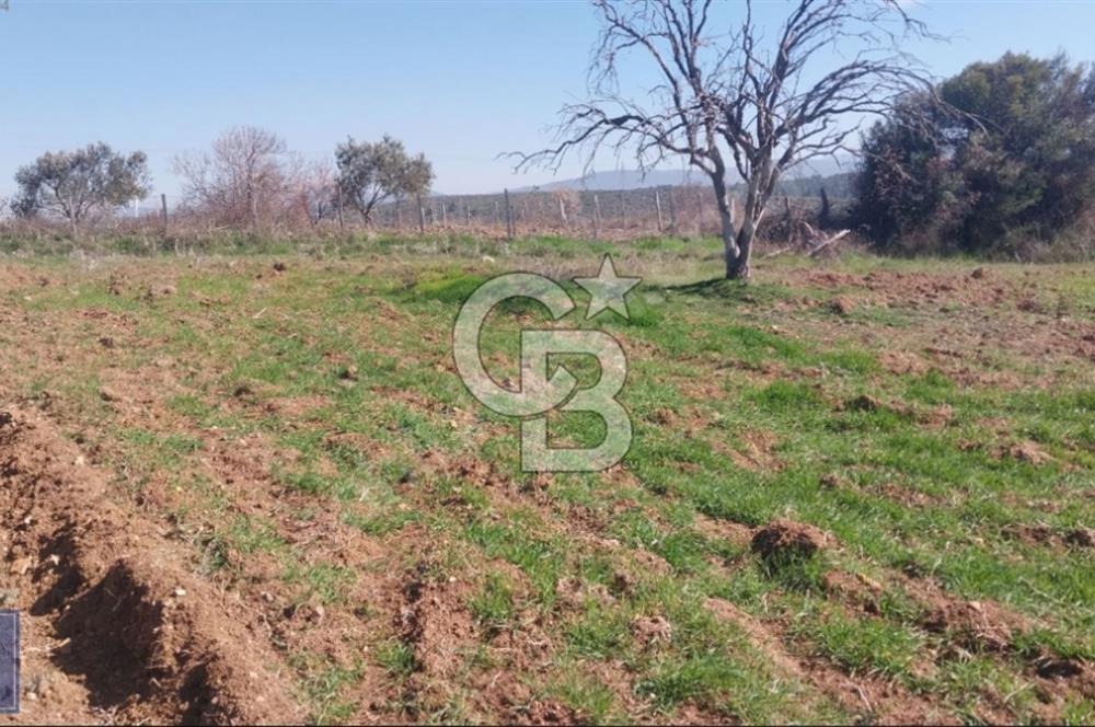 BAYRAMİÇ/YUKARIŞEVİK "300M2.İMARINDA" "14.200M2"SÜPER ARAZİ...