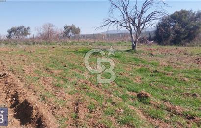 BAYRAMİÇ/YUKARIŞEVİK "300M2.İMARINDA" "14.200M2"SÜPER ARAZİ...