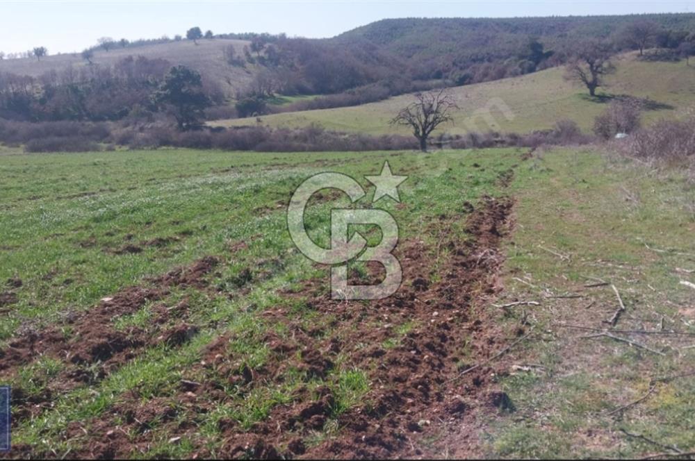 BAYRAMİÇ/YUKARIŞEVİK "300M2.İMARINDA" "14.200M2"SÜPER ARAZİ...