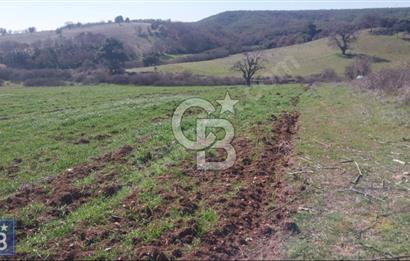 BAYRAMİÇ/YUKARIŞEVİK "300M2.İMARINDA" "14.200M2"SÜPER ARAZİ...