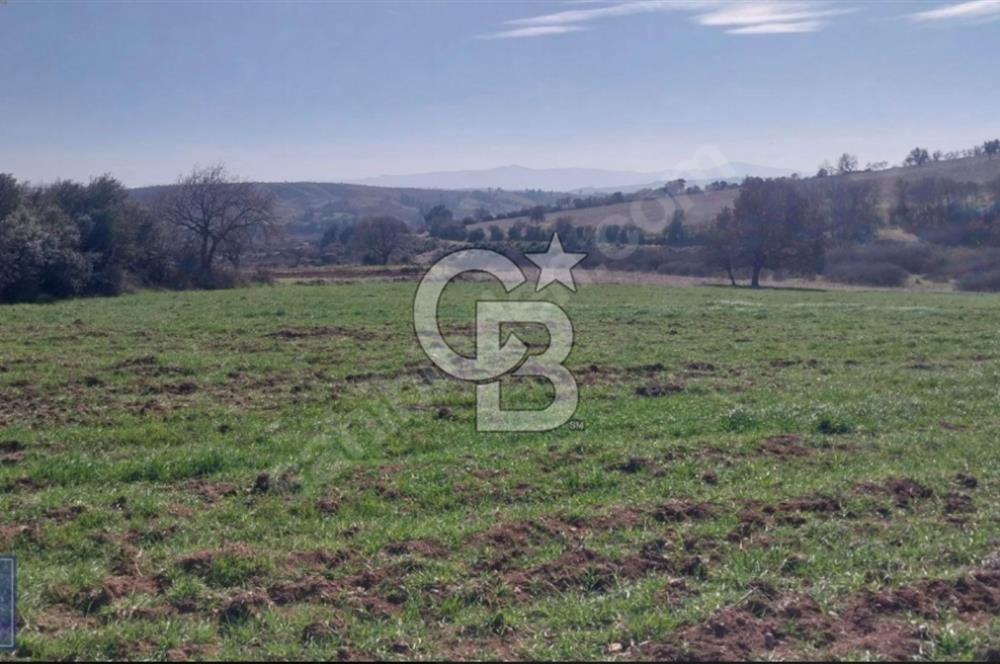 BAYRAMİÇ/YUKARIŞEVİK "300M2.İMARINDA" "14.200M2"SÜPER ARAZİ...