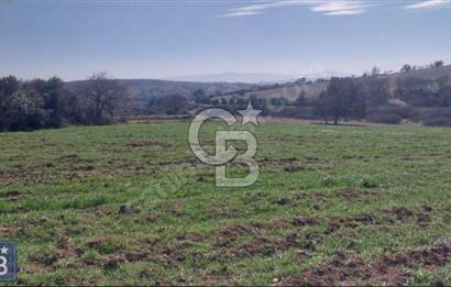 BAYRAMİÇ/YUKARIŞEVİK "300M2.İMARINDA" "14.200M2"SÜPER ARAZİ...