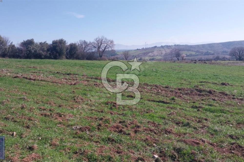 BAYRAMİÇ/YUKARIŞEVİK "300M2.İMARINDA" "14.200M2"SÜPER ARAZİ...