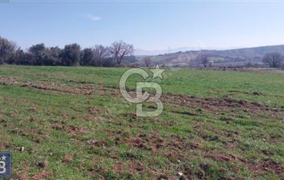 BAYRAMİÇ/YUKARIŞEVİK "300M2.İMARINDA" "14.200M2"SÜPER ARAZİ...