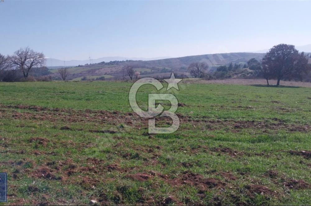BAYRAMİÇ/YUKARIŞEVİK "300M2.İMARINDA" "14.200M2"SÜPER ARAZİ...