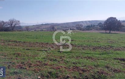 BAYRAMİÇ/YUKARIŞEVİK "300M2.İMARINDA" "14.200M2"SÜPER ARAZİ...