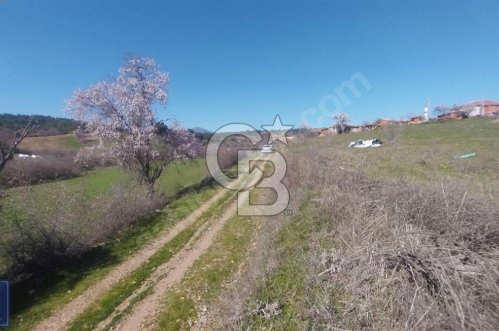 BAYRAMİÇ/YUKARIŞEVİK "300M2.İMARINDA" "14.200M2"SÜPER ARAZİ...