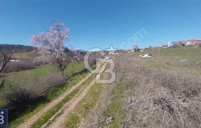 BAYRAMİÇ/YUKARIŞEVİK "300M2.İMARINDA" "14.200M2"SÜPER ARAZİ...