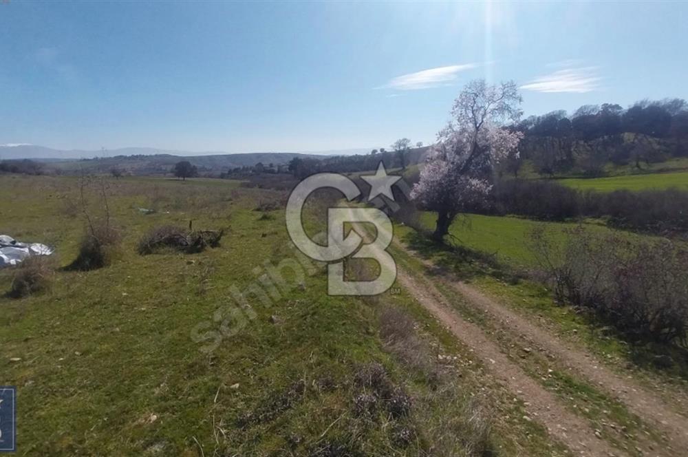 BAYRAMİÇ/YUKARIŞEVİK "300M2.İMARINDA" "14.200M2"SÜPER ARAZİ...