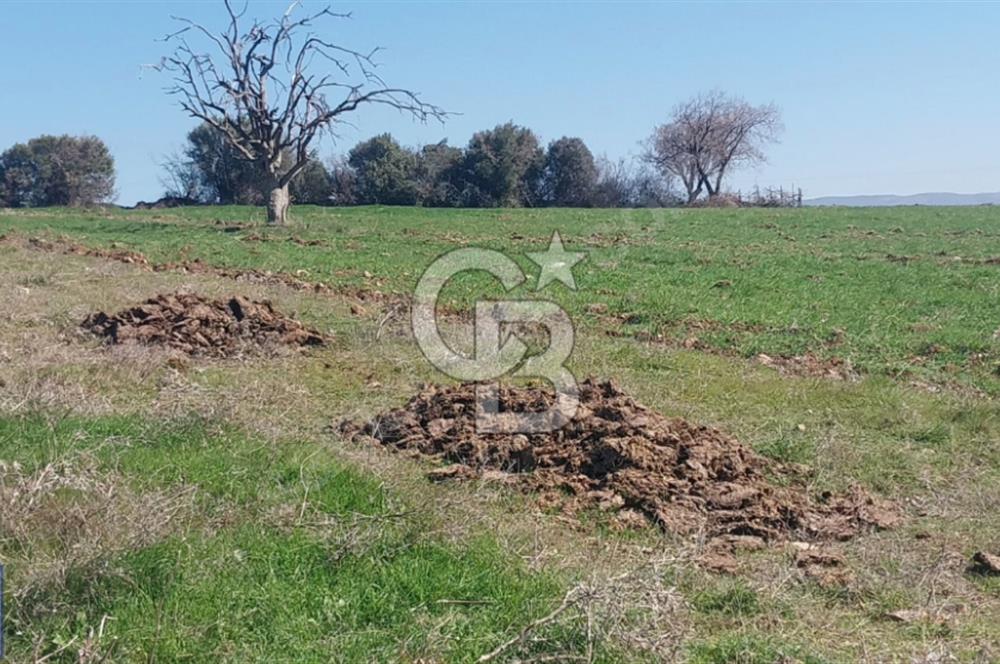 BAYRAMİÇ/YUKARIŞEVİK "300M2.İMARINDA" "14.200M2"SÜPER ARAZİ...