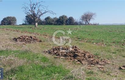 BAYRAMİÇ/YUKARIŞEVİK "300M2.İMARINDA" "14.200M2"SÜPER ARAZİ...