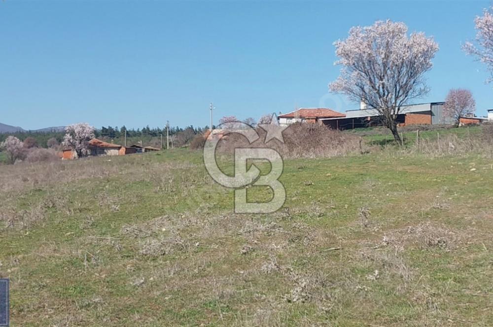 BAYRAMİÇ/YUKARIŞEVİK "300M2.İMARINDA" "14.200M2"SÜPER ARAZİ...