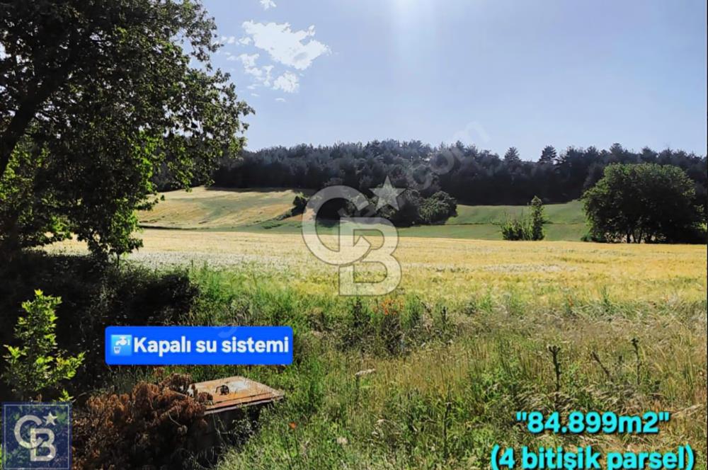 ÇANAKKALE/LAPSEKİ/ADATEPE'DE DENİZE 6KM.85 DÖNÜM MUHTEŞEM ARAZİ.