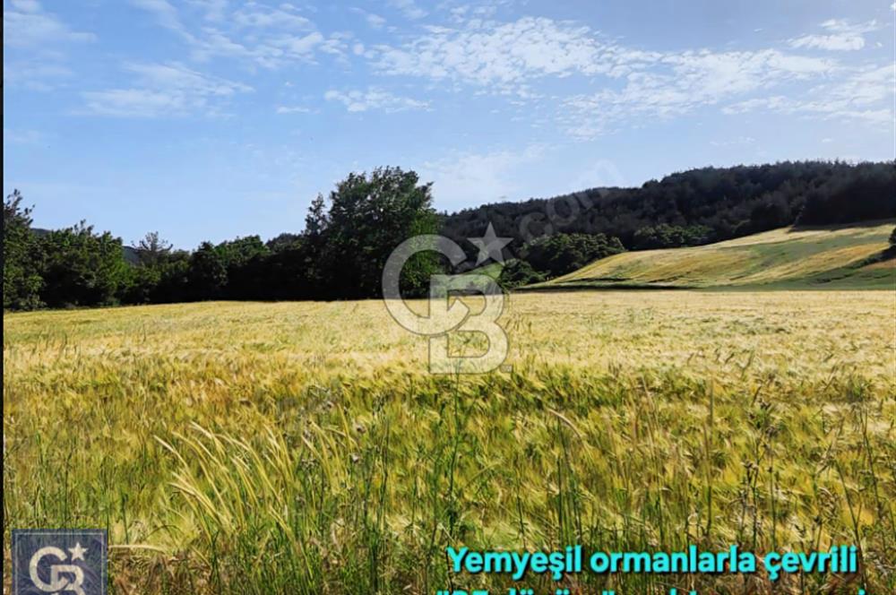 ÇANAKKALE/LAPSEKİ/ADATEPE'DE DENİZE 6KM.85 DÖNÜM MUHTEŞEM ARAZİ.