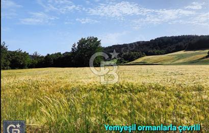 ÇANAKKALE/LAPSEKİ/ADATEPE'DE DENİZE 6KM.85 DÖNÜM MUHTEŞEM ARAZİ.