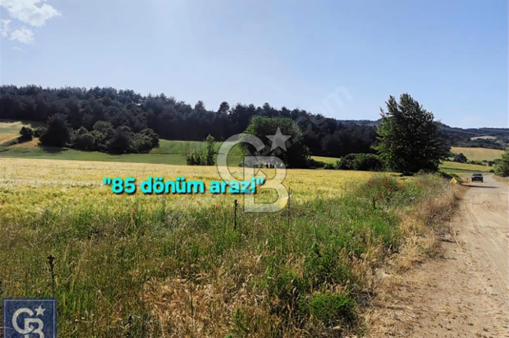 ÇANAKKALE/LAPSEKİ/ADATEPE'DE DENİZE 6KM.85 DÖNÜM MUHTEŞEM ARAZİ.