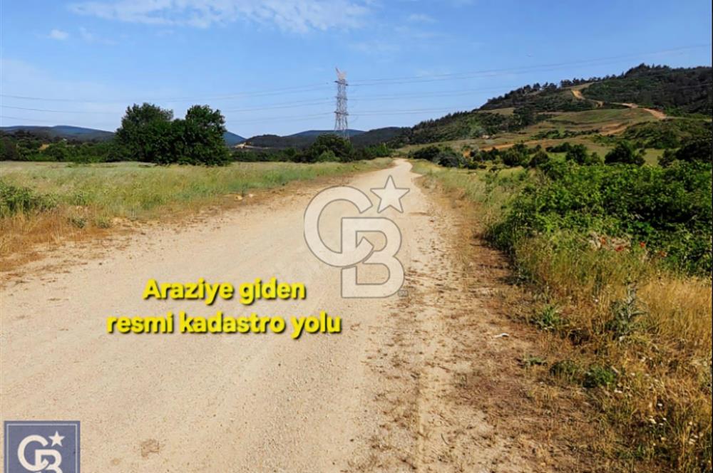 ÇANAKKALE/LAPSEKİ/ADATEPE'DE DENİZE 6KM.85 DÖNÜM MUHTEŞEM ARAZİ.