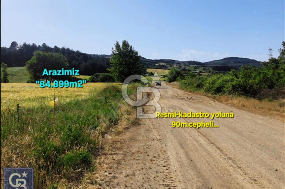 ÇANAKKALE/LAPSEKİ/ADATEPE'DE DENİZE 6KM.85 DÖNÜM MUHTEŞEM ARAZİ.