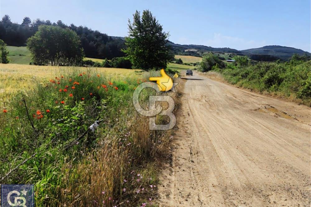 ÇANAKKALE/LAPSEKİ/ADATEPE'DE DENİZE 6KM.85 DÖNÜM MUHTEŞEM ARAZİ.