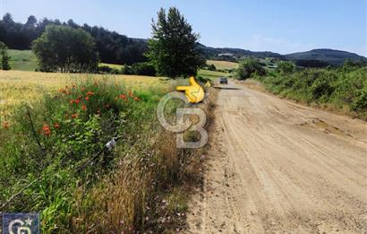 ÇANAKKALE/LAPSEKİ/ADATEPE'DE DENİZE 6KM.85 DÖNÜM MUHTEŞEM ARAZİ.