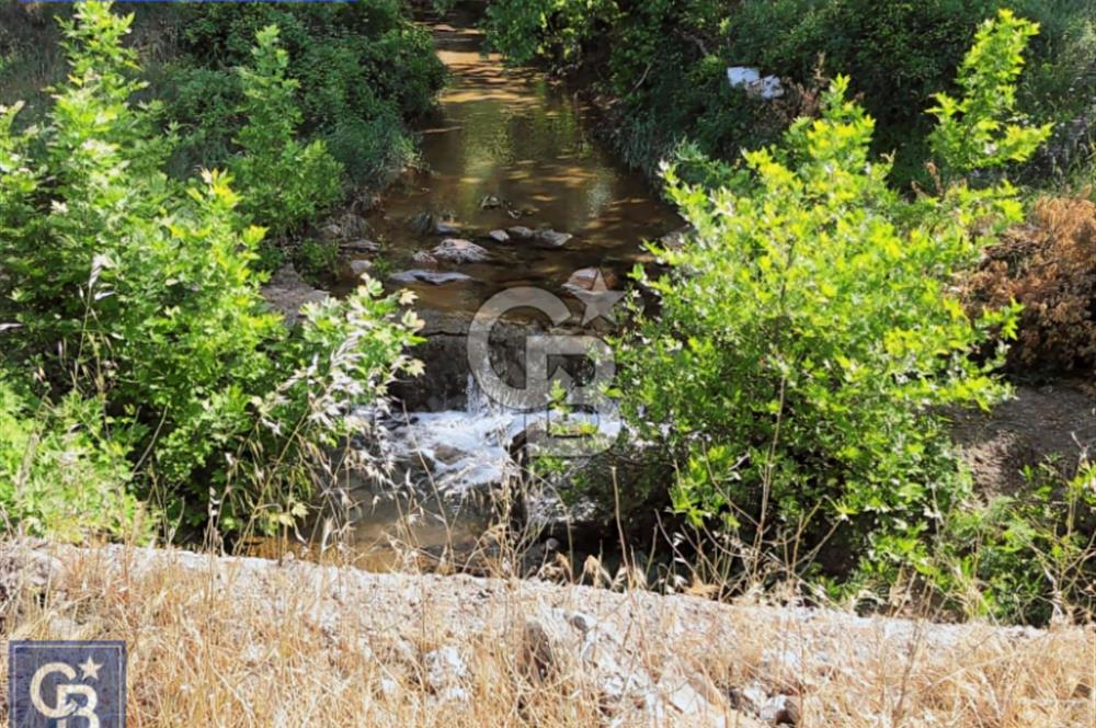 ÇANAKKALE/LAPSEKİ/ADATEPE'DE DENİZE 6KM.85 DÖNÜM MUHTEŞEM ARAZİ.