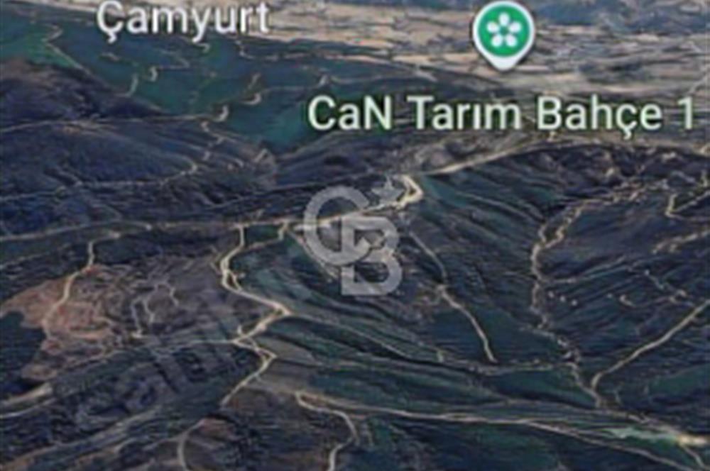 ÇANAKKALE/LAPSEKİ/ADATEPE'DE DENİZE 6KM.85 DÖNÜM MUHTEŞEM ARAZİ.