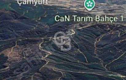 ÇANAKKALE/LAPSEKİ/ADATEPE'DE DENİZE 6KM.85 DÖNÜM MUHTEŞEM ARAZİ.