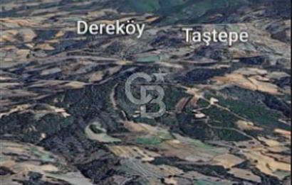 ÇANAKKALE/LAPSEKİ/ADATEPE'DE DENİZE 6KM.85 DÖNÜM MUHTEŞEM ARAZİ.