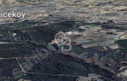 ÇANAKKALE/LAPSEKİ/ADATEPE'DE DENİZE 6KM.85 DÖNÜM MUHTEŞEM ARAZİ.