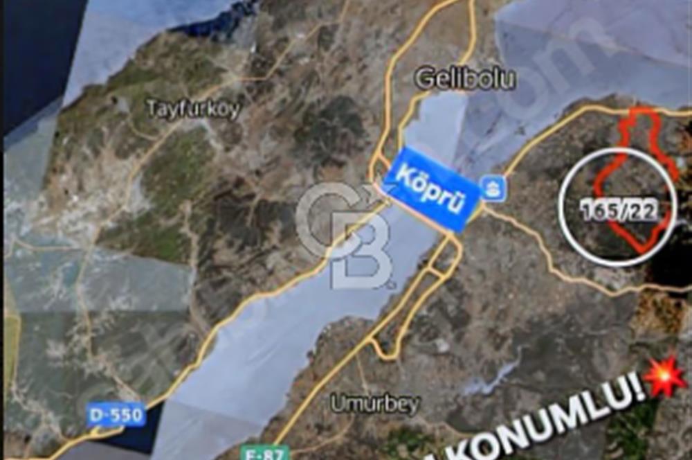 ÇANAKKALE/LAPSEKİ/ADATEPE'DE DENİZE 6KM.85 DÖNÜM MUHTEŞEM ARAZİ.