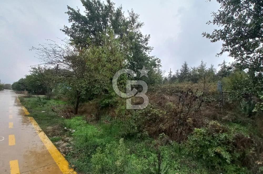 KARTEPE SARIMEŞE'DE %40 İMARLI SATILIK ARSA CB TOWER