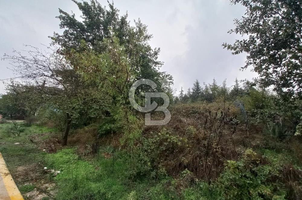 KARTEPE SARIMEŞE'DE %40 İMARLI SATILIK ARSA CB TOWER