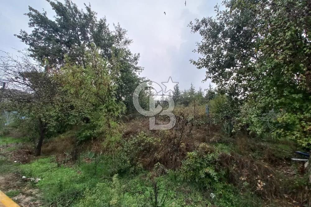 KARTEPE SARIMEŞE'DE %40 İMARLI SATILIK ARSA CB TOWER